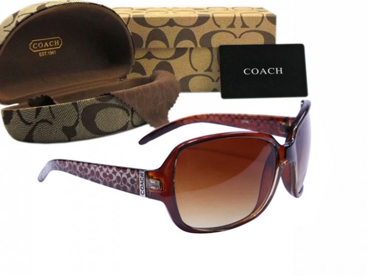 Coach Sunglasses 8008 | Women
